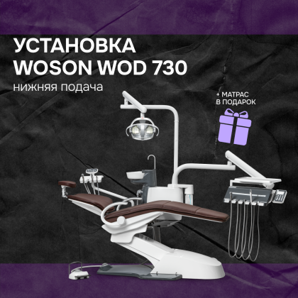 Установка Woson WOD 730 нижняя подача + матрас в подарок